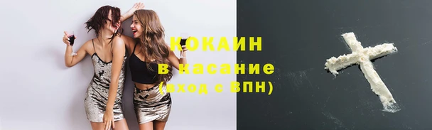 apvp Аркадак