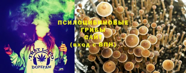 крисы Балахна